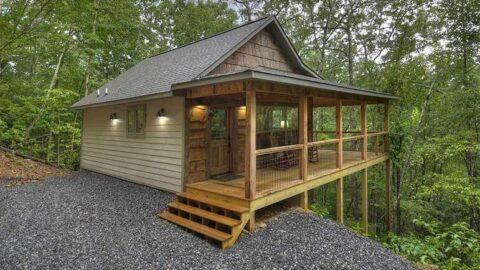 Single-Story, 1-Bedroom The Dwight Tiny Cabin House With Wide Porch (Floor Plan)