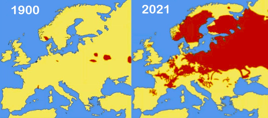Beaver Populations in Europe 1900 vs 2021
