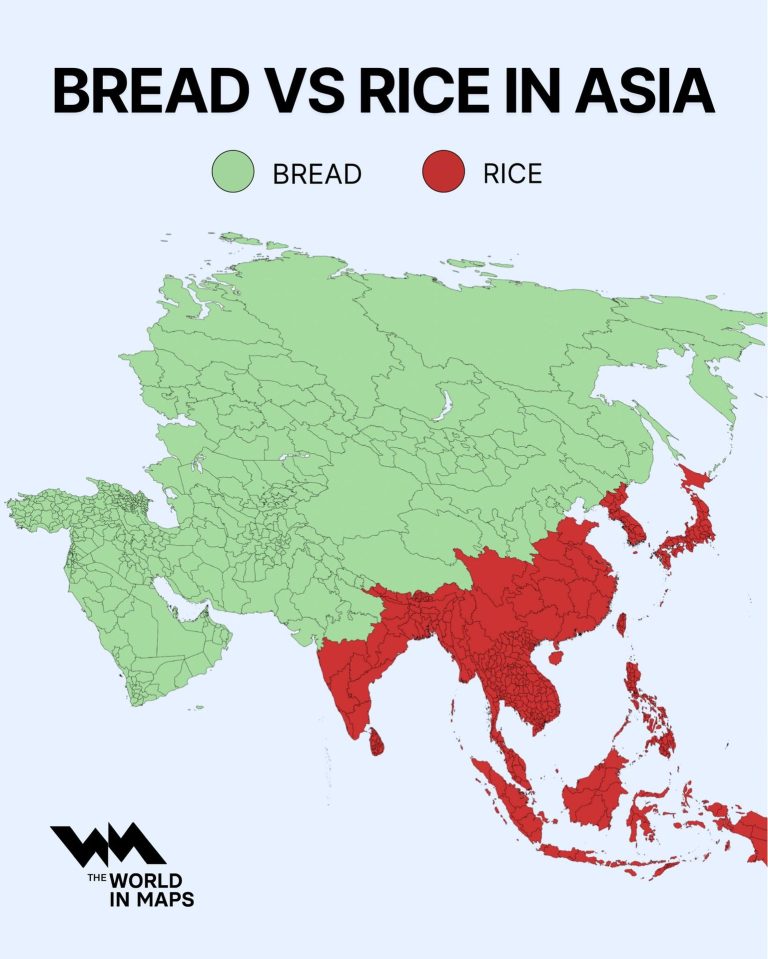 asia bread vs rice consumption