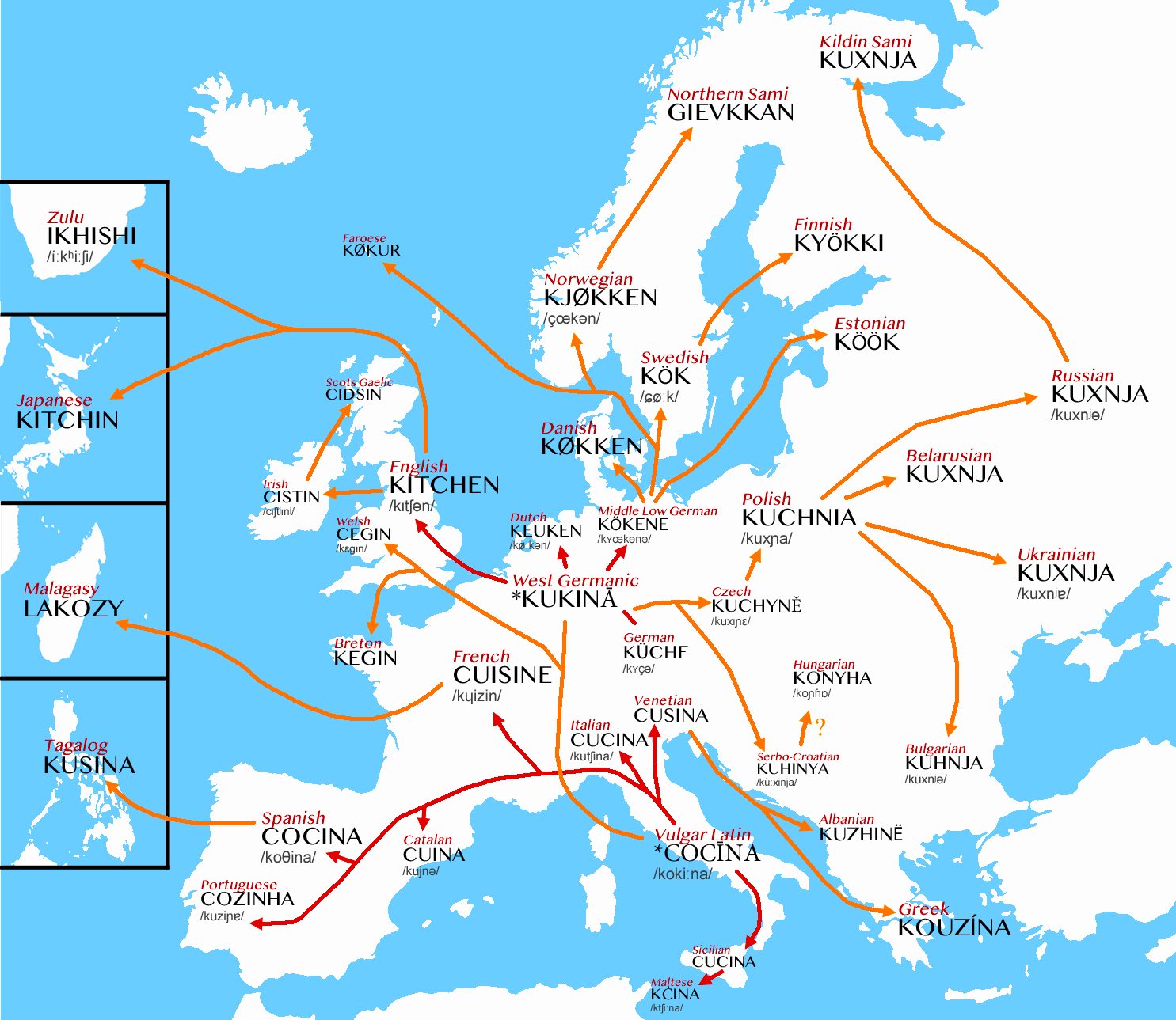 Linguistic Offspring of the Latin Word 'Coquina' (Kitchen)