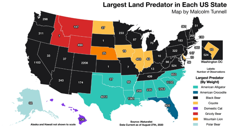 Largest U.S. Predators Map