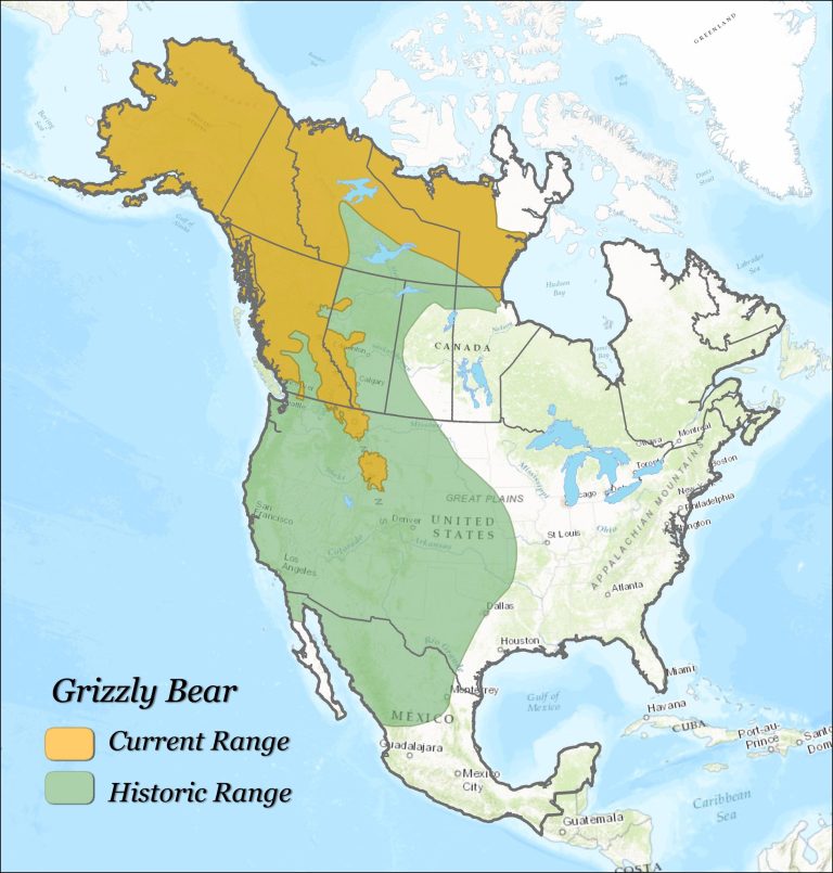 Grizzly Bear Range in North America