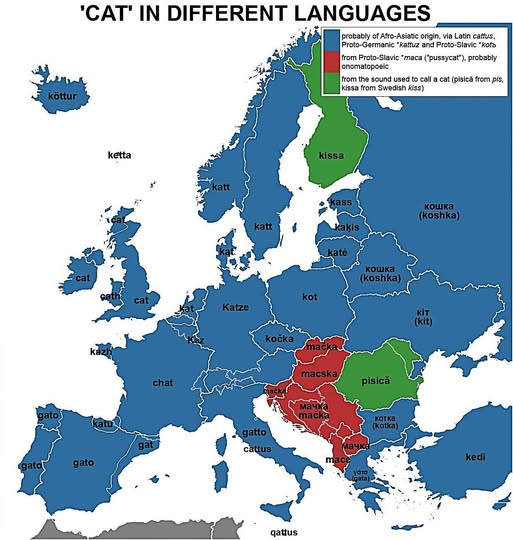 Why Does Every European Language Have a Different Word for Cat